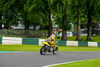 cadwell-no-limits-trackday;cadwell-park;cadwell-park-photographs;cadwell-trackday-photographs;enduro-digital-images;event-digital-images;eventdigitalimages;no-limits-trackdays;peter-wileman-photography;racing-digital-images;trackday-digital-images;trackday-photos